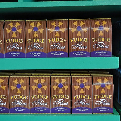 ハリーポッターハエ型ヌガー