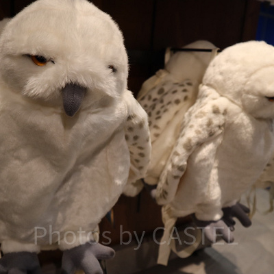 ハリーポッターグッズ/ヘドウィグリュック