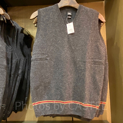 ハリーポッター「グリフィンドール」ニットベスト