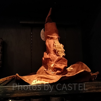 ハリーポッターの組み分け帽子