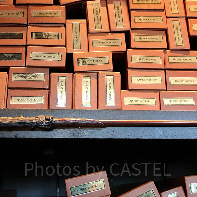 ハリーポッターの杖