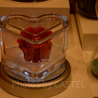 ハートの容器×ピンクのバラ