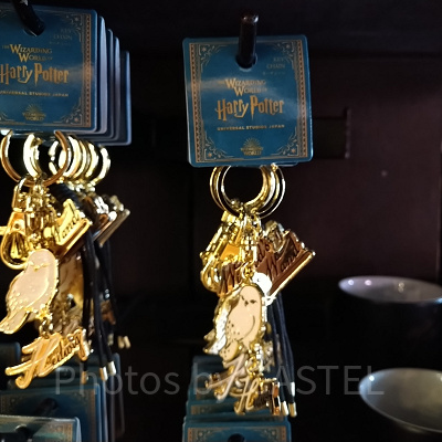 ヘドウィグキーチェーン