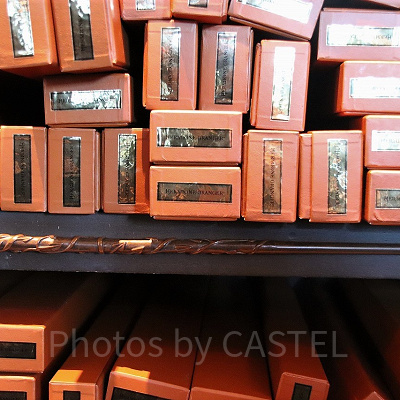 ハーマイオニー・グレンジャーの杖