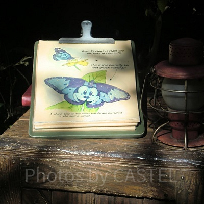 おや？この蝶の模様は……