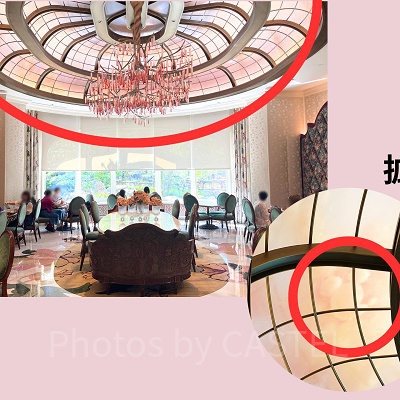 隠れミッキー〔ファンタジースプリングスホテル〕