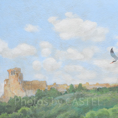 ソアリン内の隠れミッキー