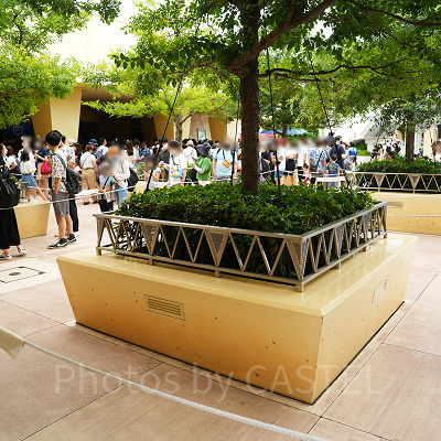 隠れミッキーがいるのはこちらの植え込み