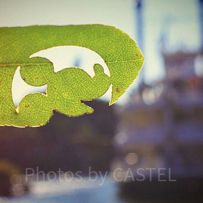 ミステリアスアイランドの隠れミッキー