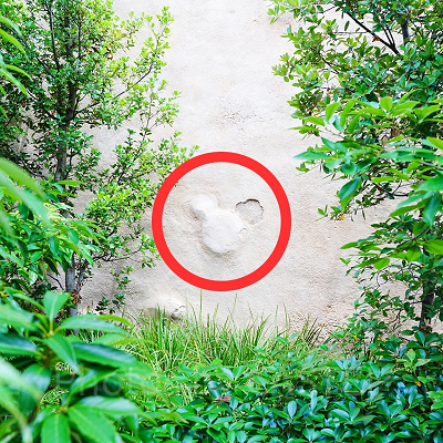 隠れミッキー〔ラプンツェルのランタンフェスティバル〕