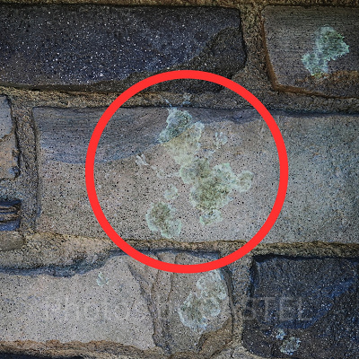 隠れオラフ〔アレンデール城近くの石橋〕