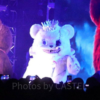 ハミクマソウル