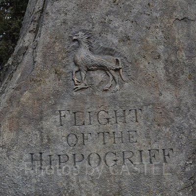 石盤に描かれたヒッポグリフ／USJ