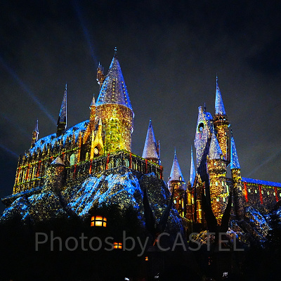 ホグワーツ・マジカルナイト・ウィンターマジック