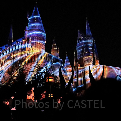 ホグワーツ・マジカルナイト・ウィンターマジック