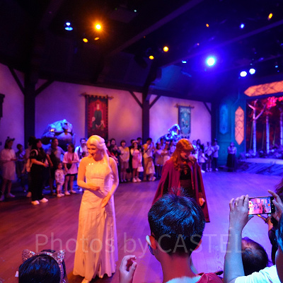 香港ディズニーのアナ雪エリア「ワールドオブフローズン」：プレイハウス・イン・ザ・ウッズ