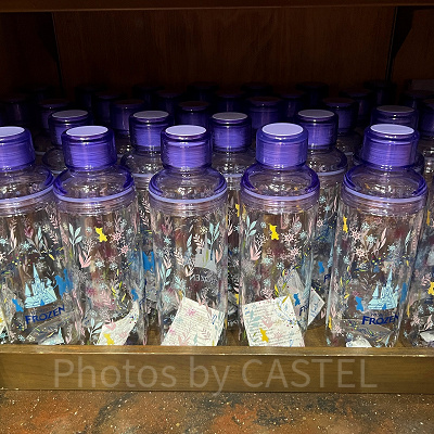 香港ディズニーアナ雪グッズ:クリアドリンクボトル