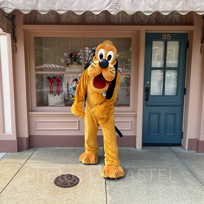香港ディズニーのグリーティング：タウンスクエア付近のプルート