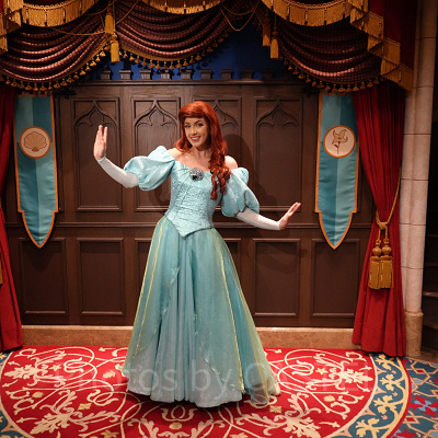 香港ディズニーのグリーティング：ロイヤル・レセプション・ホールのアリエル