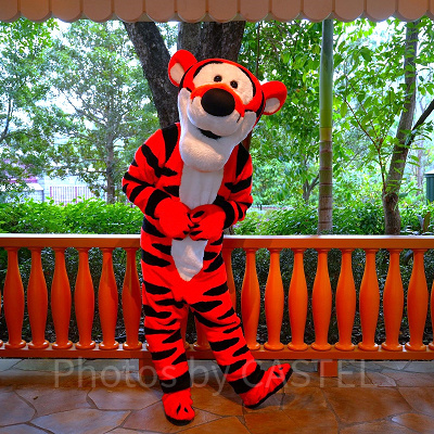 香港ディズニーのグリーティング：ファンタジーガーデンのティガー