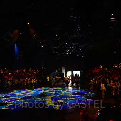 香港ディズニーのショー・パレード：フェスティバル・オブ・ザ・ライオンキング