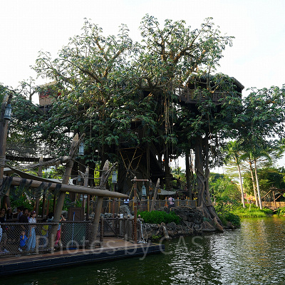 香港ディズニーチケット:公式アプリでチケット購入