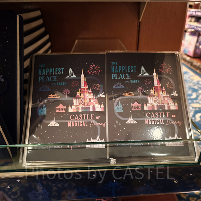 香港ディズニー20周年・スカイライングッズ:ポストカード