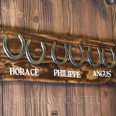 ディズニー映画に登場する馬たちの馬蹄