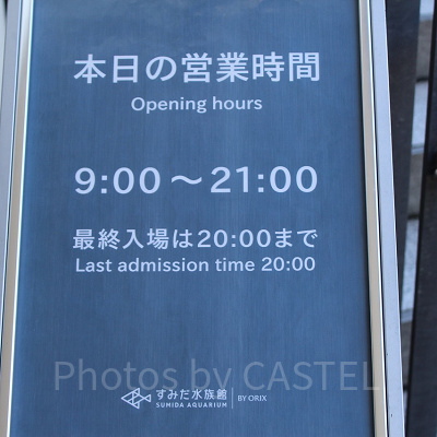 営業時間は特別なイベントがない限り通年変わりません