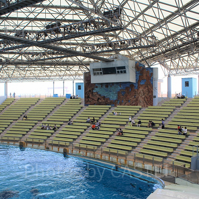 アクアスタジアムの混雑は？