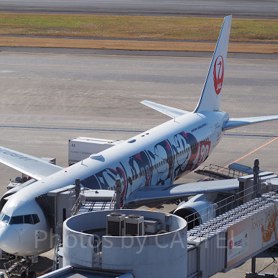 JALで買えるディズニーチケットは何枚まで買える？