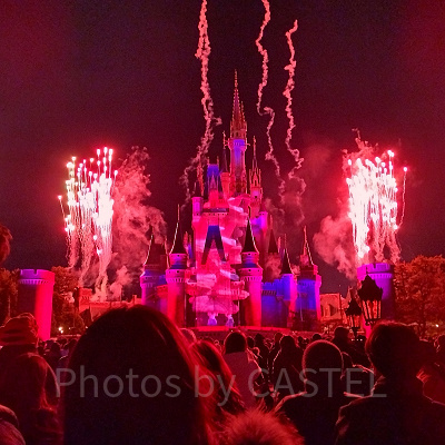 Reach for the Starsのプレミアアクセスの料金は？