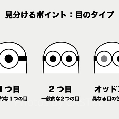 ミニオンの見分け方②:目のタイプ