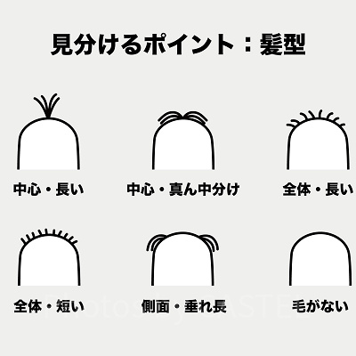 ミニオンの見分け方③：髪型