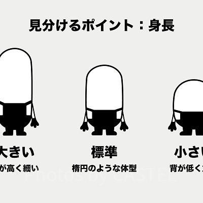 ミニオンの見分け方①：身長