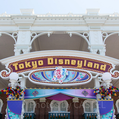 ディズニーランドの楽しみ方