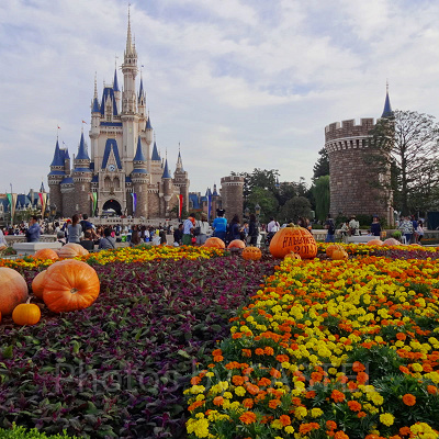 ディズニーランドの楽しみ方