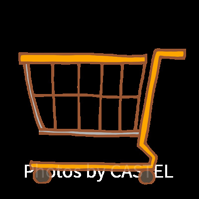 期間限定パスポートの購入方法