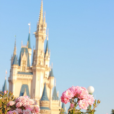 バラに焦点を当ててみました。