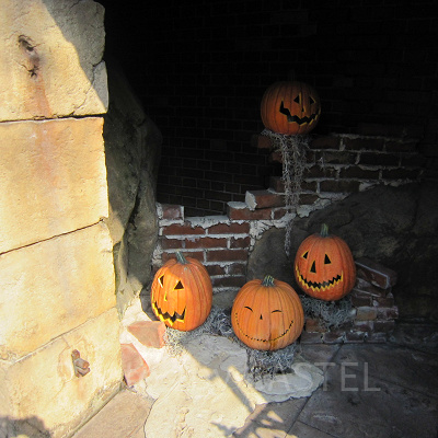 よく見ると白いコンクリートに足跡が･･･？