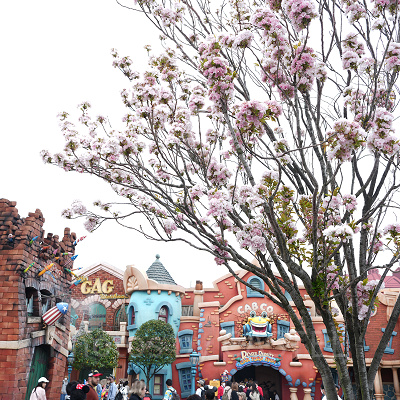 トゥーンタウン・ベビーセンター前の桜（アマノガワ）