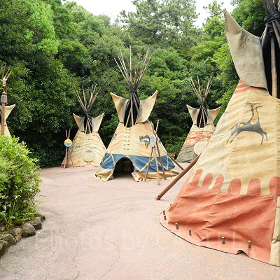 インディアン・キャンプ