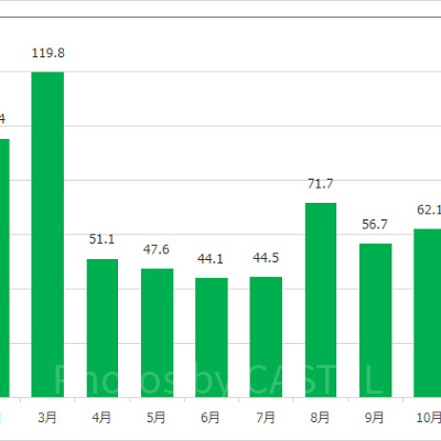 インディ・ジョーンズ・アドベンチャー：クリスタルスカルの魔宮の月別平均待ち時間