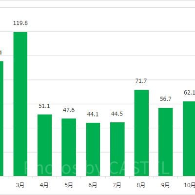 インディ・ジョーンズ・アドベンチャーの月別平均待ち時間