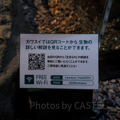 生きものの情報はスマホで読める