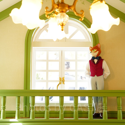 猫の事務所の中には…？