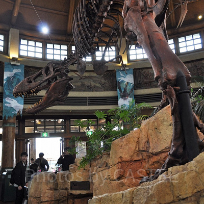 ディスカバリー・レストランの店内