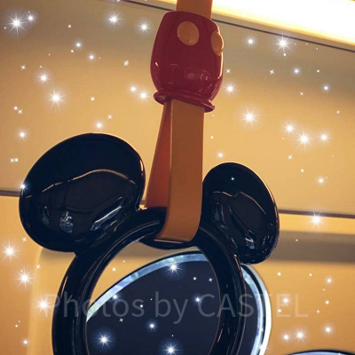 ディズニーリゾートラインの車内