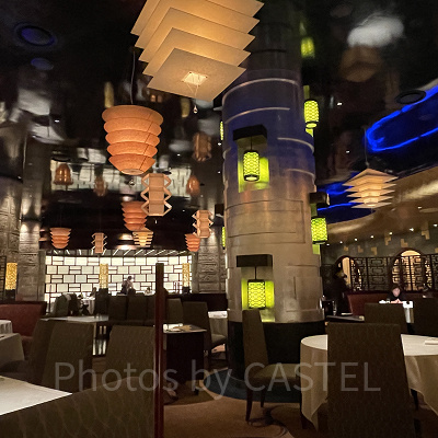 シルクロードガーデン店内の様子