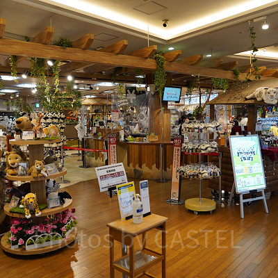 サファリな雰囲気の店内